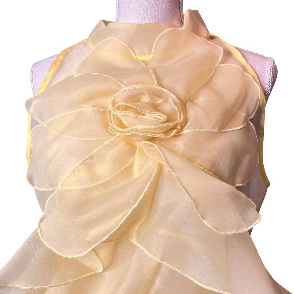 #A022 – FT INC Yellow Hi-Lo Organza Ruffle Top – Size M – NWT - Picture 6 of 10